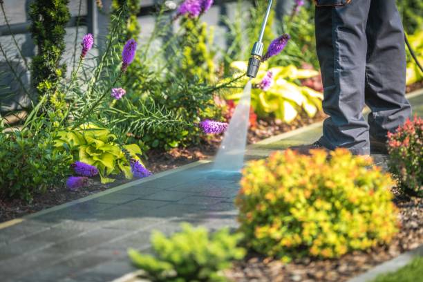 Best Pool Deck Cleaning in Reamstown, PA